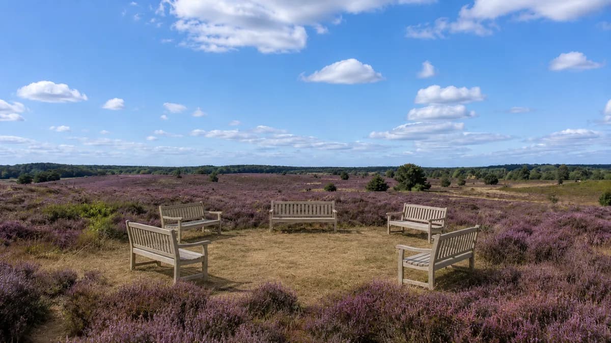 Rustige ruimte met veel groen — een plek voor bezinning